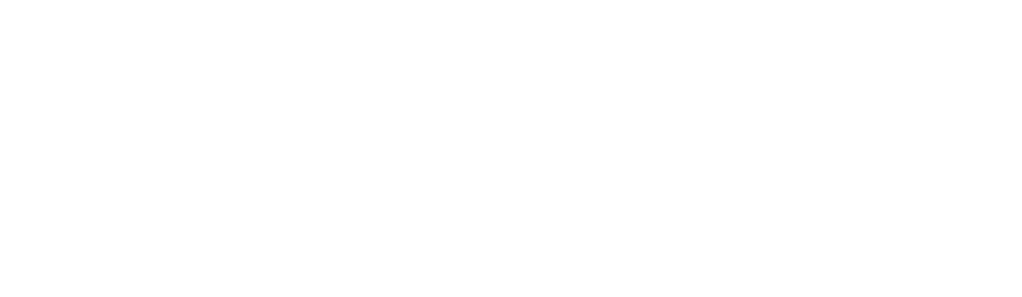 png logo